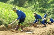 Điện Biên: Toàn tỉnh đẩy nhanh tiến độ trồng mới cây cao su